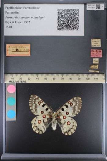 Media type: image;   Entomology 177857